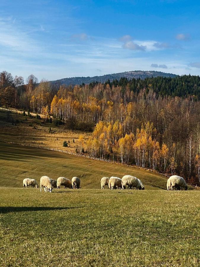 Legat Kuca Za Odmor Hotell Pale Eksteriør bilde
